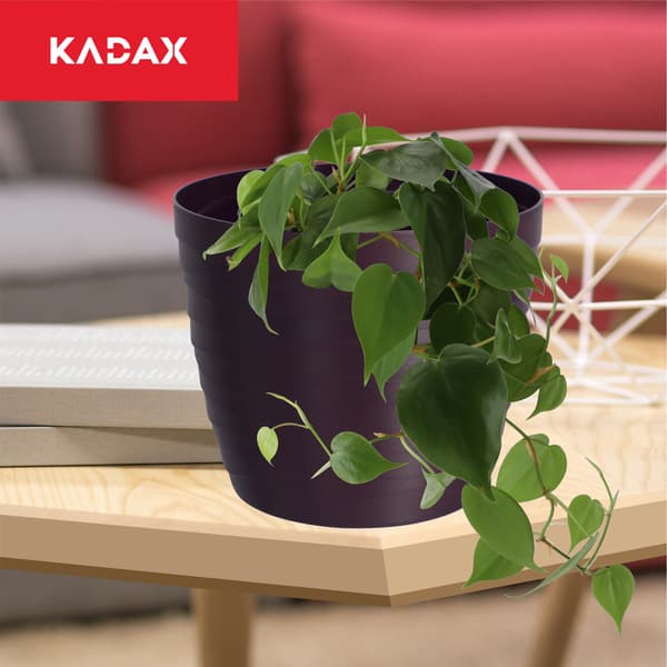 KADAX Urtepotte, Blomme Urtepotte, Rund, 13 cm, Plast