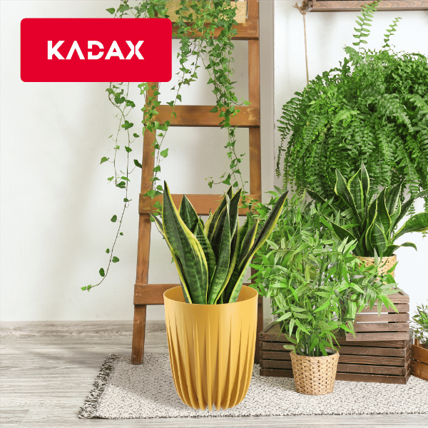 KADAX Urtepotte med Indsats 30x36cm Rund Plastlåg Indsats