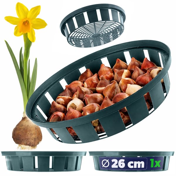 KADAX Korg för Lökar, Blomlökar, Tulpaner, Planteringsskydd, 22 cm