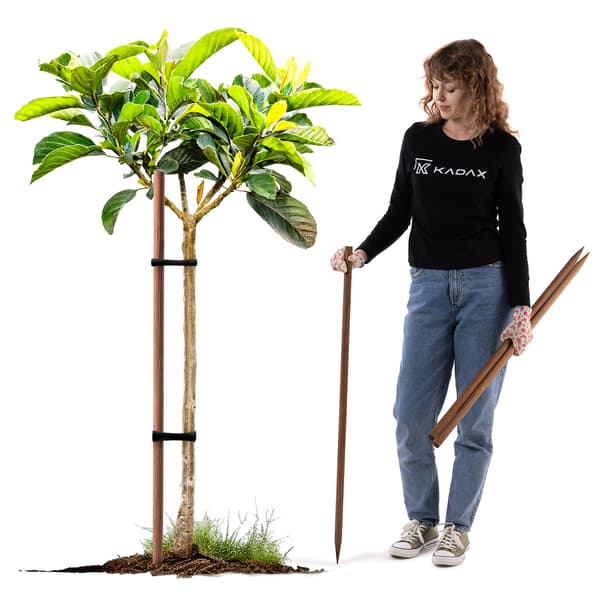 KADAX Imprægneret Træpæl 100 cm Plante Træstøttestang Dia 23 mm