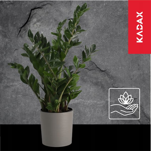 KADAX Urtepotte, Urtepotte, Blomsterfod, 19 cm, Grå, til Stuen + Indsats
