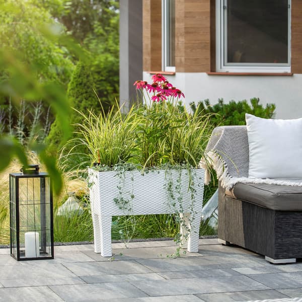 KADAX Urtepotte Haveplanter + Indsats Blomsterkasse på Ben Hvid 60cm