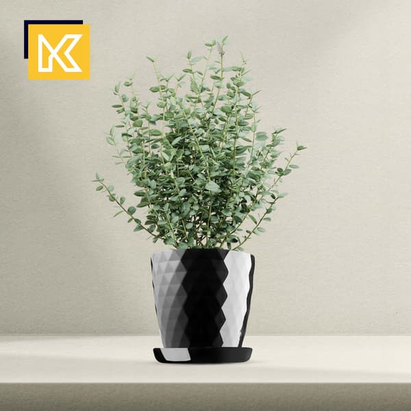 KADAX Urtepotte, Plantekasse, Låg, 25 cm, Blomsterfod, Sort Plast, 3 stk.