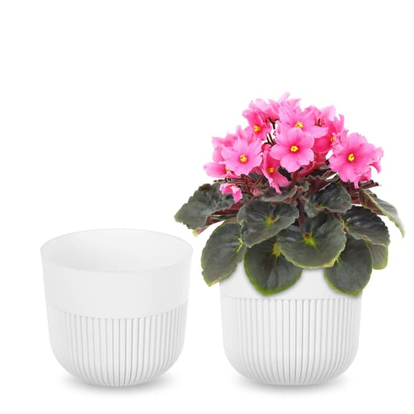 KADAX Blomkruka, Blomkruksskydd, 13 cm, Plast, Rund, Räfflad, Vit