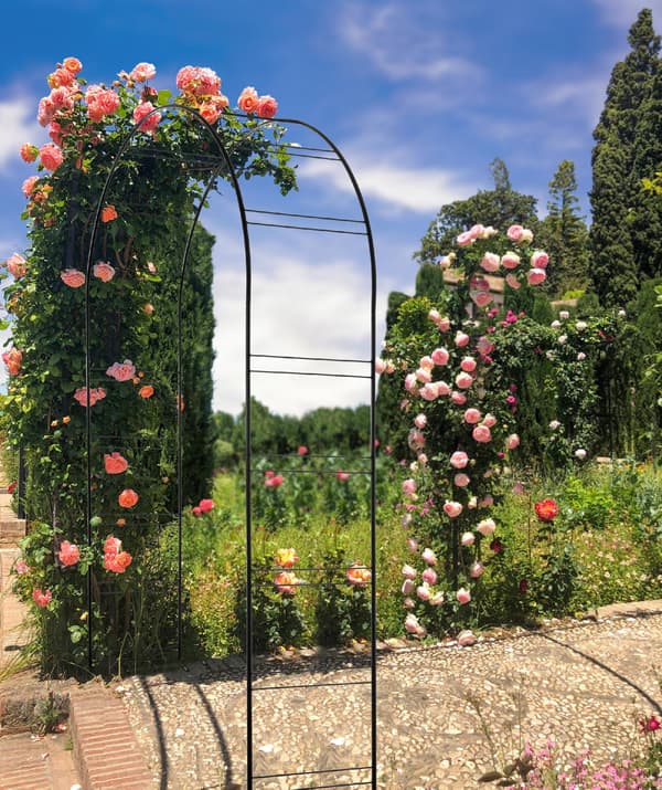 KADAX Havepergola til blomster og roser Metal Blomsterbue 255 cm