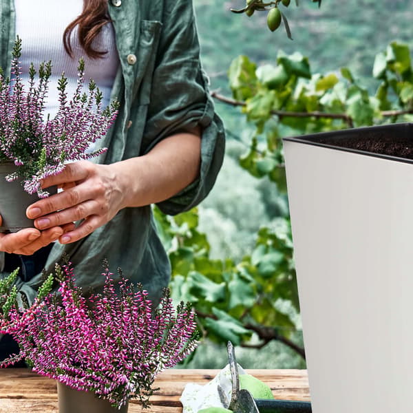 KADAX Trädgårdskruka + Insats Hög Blomställning Blommor 19 x 56 Glansig Vit