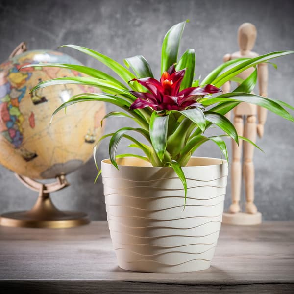 KADAX Urtepotte Urtepottedæksel Creme Rund 19cm Plast