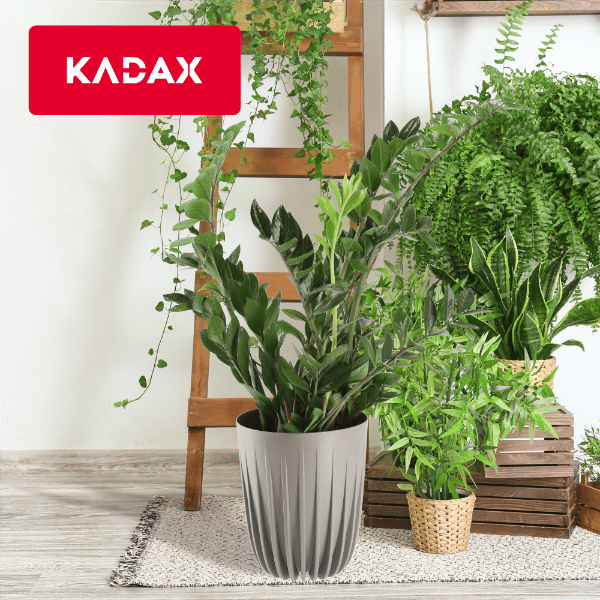 KADAX Urtepotte med Indsats 30x36cm Rund Plastlåg Indsats