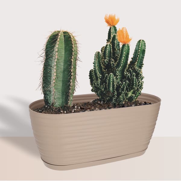 KADAX Urtepotte 27cm Oval Urtepotte Plastik Beige