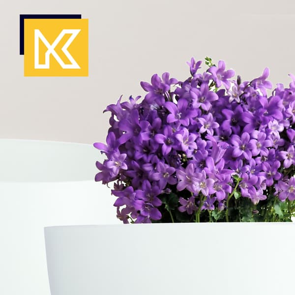 KADAX Blomkruka, Planter, Lock, Ben, Insats, Blomställning, 29 cm, Vit, Rund, 2 st.