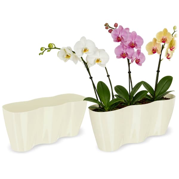 KADAX Blomkruka, Blomkruka, Skål, Blomställ, Plast, 35 cm, Kräm