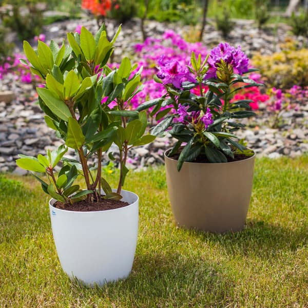 KADAX Blomkruka, Planter, Lock, 23 cm, Blomställning, Vit Plast, 3 st.