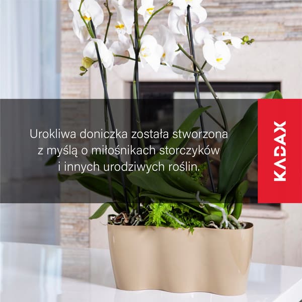 KADAX Urtepotte, Urtepotte, Plastik Urtepotte, Orkidé, 35 cm, Beige