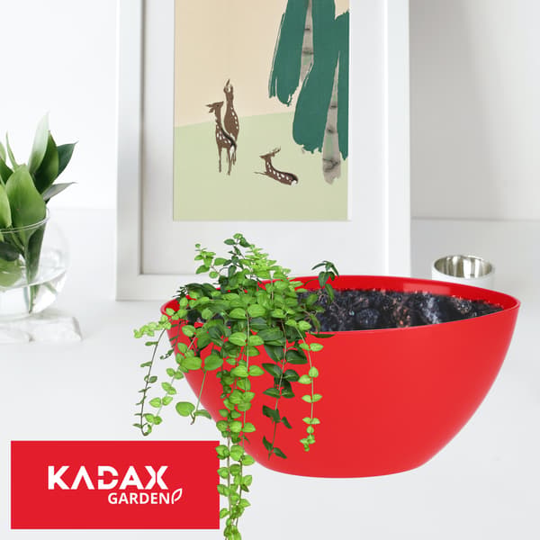KADAX Urtepotte 21 cm Oval Urtepotte Plastik Rød