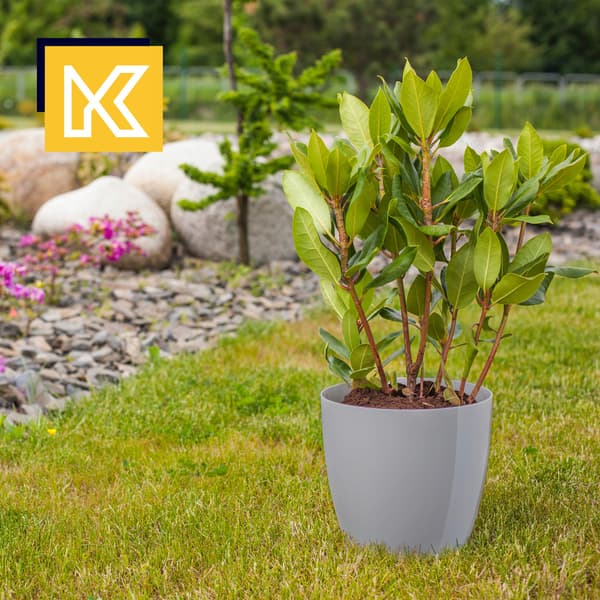 KADAX Urtepotte, Plantekasse, Låg, 16 cm, Blomsterfod, Grå Plast, 3 stk.