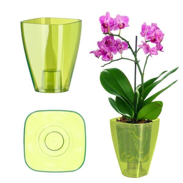 KADAX Blomkruka Orkidé Plastkruka Grön Stark 9cm