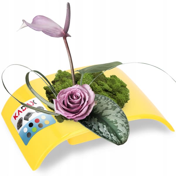 KADAX Urtepotteskjuler til Kompositioner til Dekorationer Ikebana Base Gul