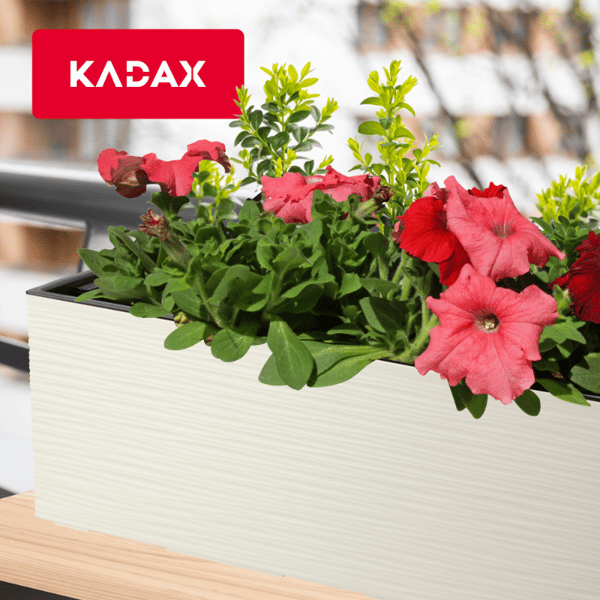 KADAX Urtepotte Balkonkasse med Indsats Blomsterstativ til Balustrade 19x56cm