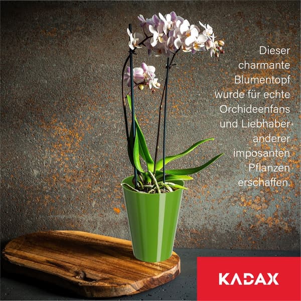 KADAX Urtepotte Orkidé Planter Plastik Blomster Grøn Stærk 13cm
