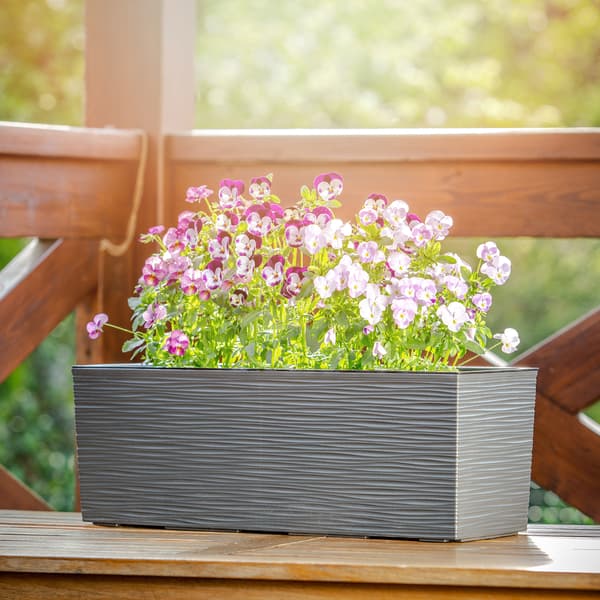 KADAX Urtepotte Balkonkasse med Indsats Blomsterstativ til Balustrade 19x56cm