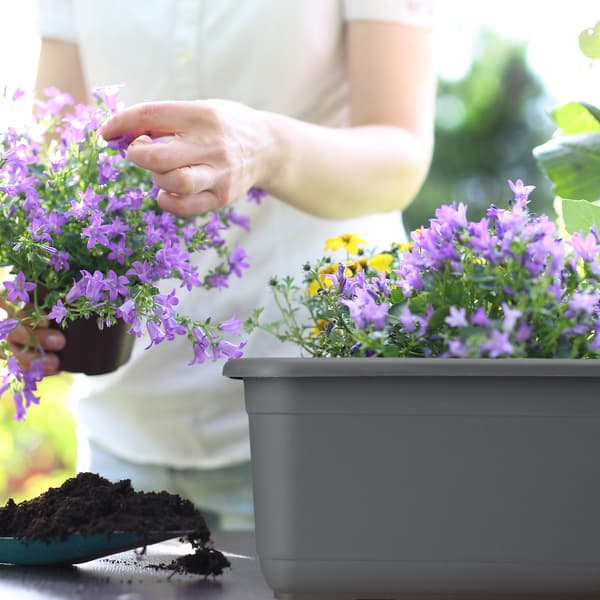 KADAX Balkongkruka 80 cm Blomkruka med avlång bas