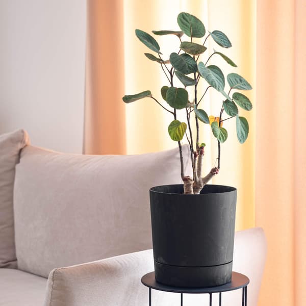 KADAX Urtepotte Urtepotte med Stander Plastik Rund 20 cm