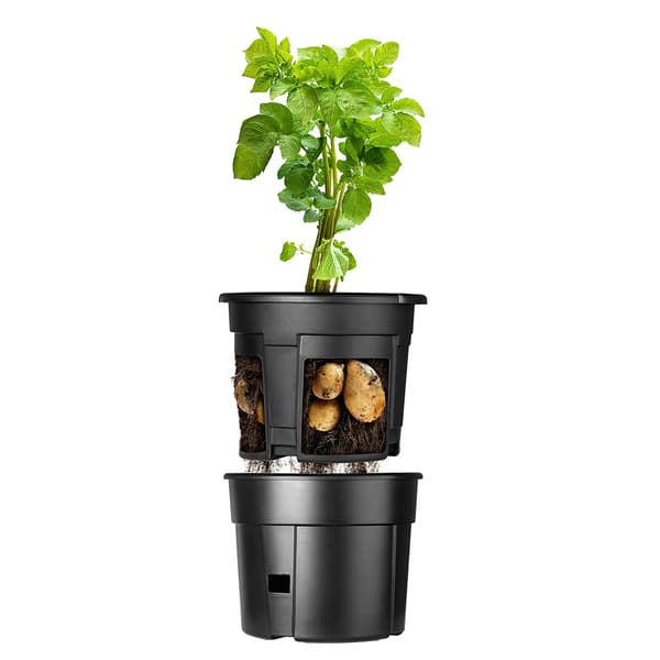 KADAX Kruka för plantering av potatis, grönsaker, lock, insats, 31 cm, 12 l