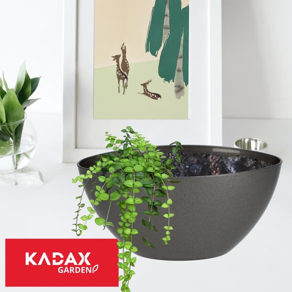 KADAX Urtepotte 30cm Oval Plastik Urtepotte Grafit