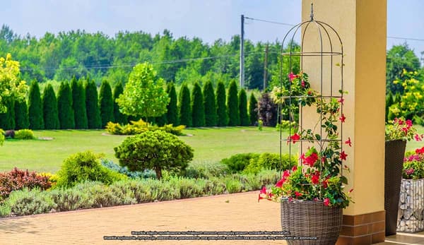 KADAX Havepergola til planter, blomster, obelisk til blomster, klatreplanter, metal, 120 cm