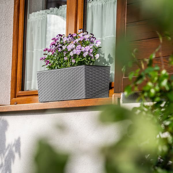 KADAX Urtepotte Balkonkasse med Indsats Blomsterstativ til Balustrade 19x56cm