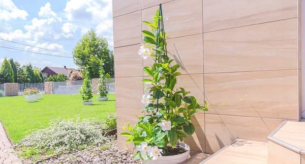 KADAX Støtte til Rosenplanter, Metal Blomsterklem, 150 cm