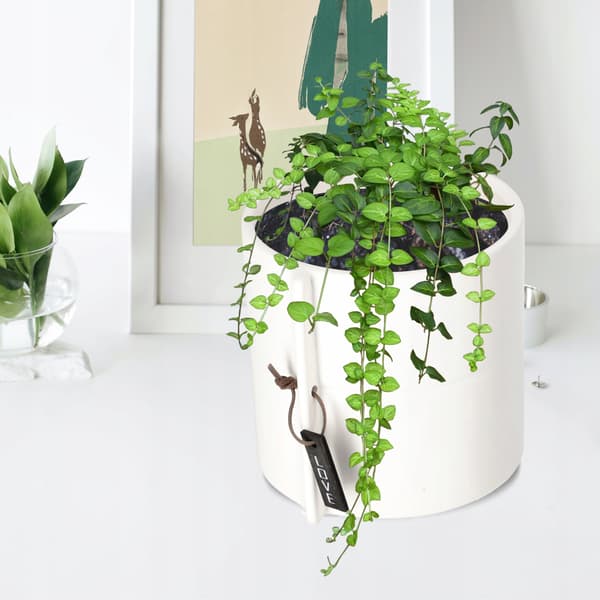 KADAX Keramik Urtepotte Hvid Urtepotte Rund Potte 13 cm
