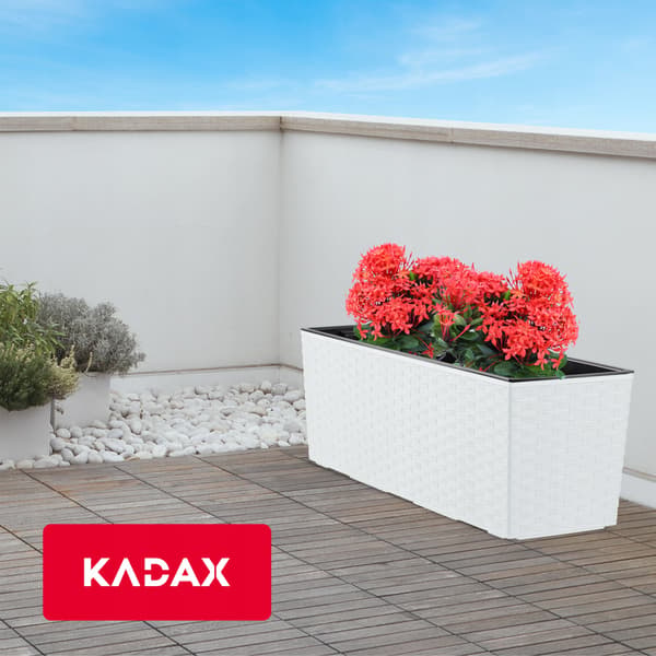 KADAX Urtepotte Balkonkasse med Indsats Blomsterstativ til Balustrade 19x56cm