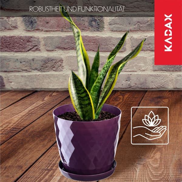 KADAX Plastik Urtepotte med Stativ, Urtepottedæksel, 16 cm, Lilla, Kadax