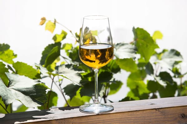 KADAX Hvidvinsglas Sæt med 6 glas 360ml Stilfuld
