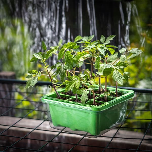 KADAX Miniväxthus Miniväxthus Växthus 9 celler Plantsåddbricka