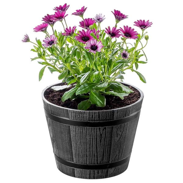 KADAX Urtepotte, Urtepotte, Haveovertræk, Rund, Plastik Blomsterfod, 23cm