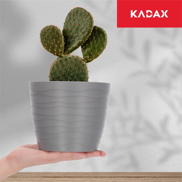 KADAX Urtepotte, Urtepotte, Grå, Rund, 15 cm, Plast
