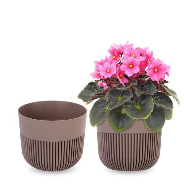 KADAX Blomkruka, Blomkruksskydd, 13 cm, Plast, Rund, Räfflad, Beige