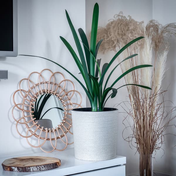 KADAX Urtepotte, Urtepotte, Blomsterfod, 25 cm, til Stuen, Beige + Indsats