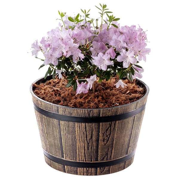 KADAX Urtepotte Stor Havepotte til Blomster Plastik Urtepottedæksel 30cm