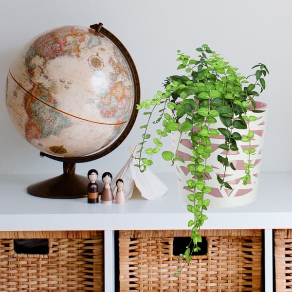 KADAX Urtepotte Plastik Lågindsats til Blomster og Planter 13cm Pink