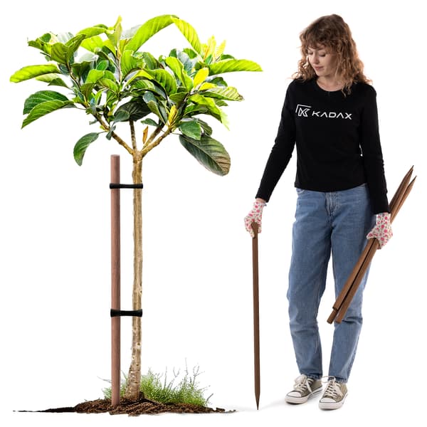KADAX Impregnerad Träpåke 80cm Trädstödpinne Diameter 23mm