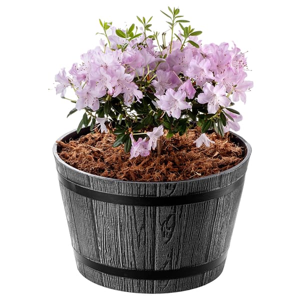 KADAX Urtepotte Have Urtepotte Rund Plastik Urtepotte 30cm