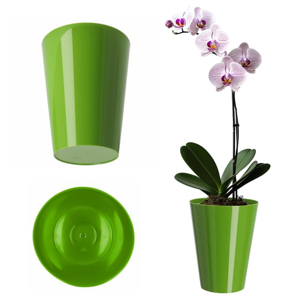 KADAX Blomkruka Orkidé Plast Blommor Grön Stark 13cm