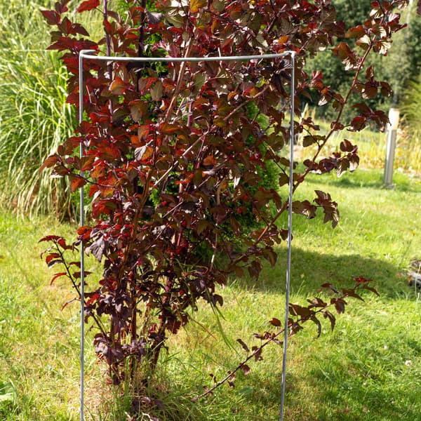 KADAX Stöd för Växter och Blommor 100 cm Stödklämma Metallbygelfäste