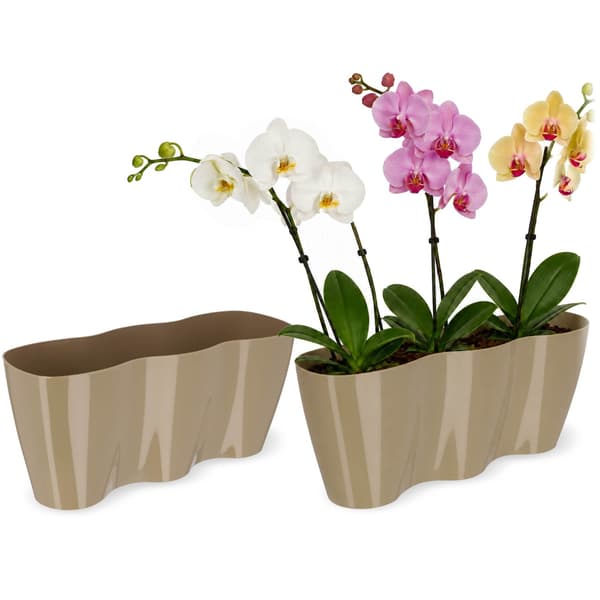 KADAX Blomkruka, Blomkruka, Plastblomkruka, Orkidé, 35 cm, Beige