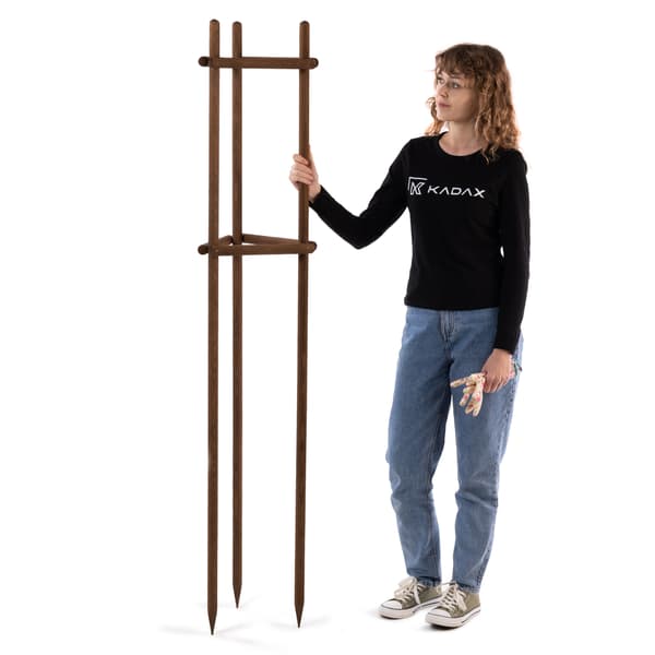 KADAX Støtte til planter, træer, buske, imprægneret støtte, trekant, stærk, 170 cm