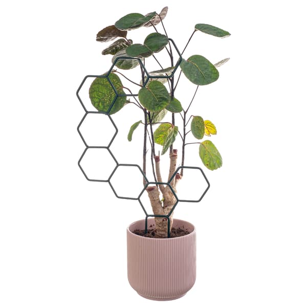 KADAX Støtte til planter og blomster metalstigestøtter sæt med 3