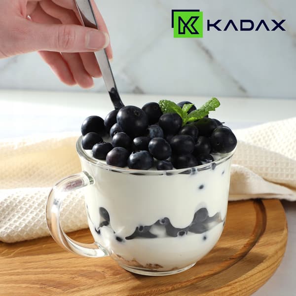 KADAX Kaffe, Te, Vinterdrikke, Latteglas med Hank 480 ml Store Glas